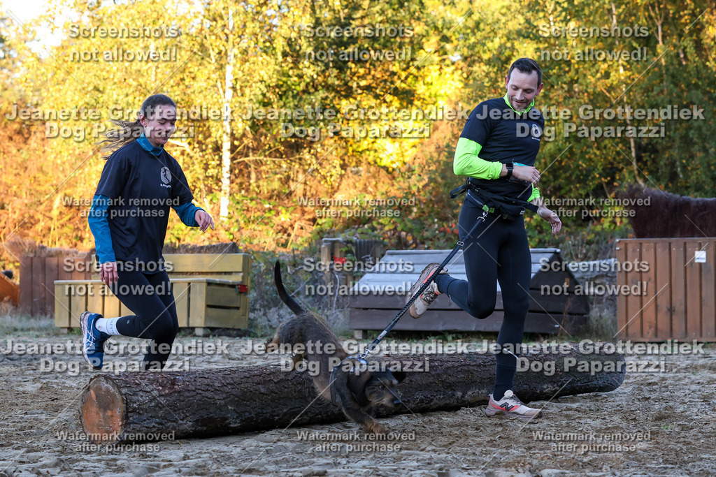 Dog Paparazzi - Strongdog 10-25-453 | Dog Paparazzi Jeanette Grottendiek Fotografie & Videografie - Realisiert mit Pictrs.com