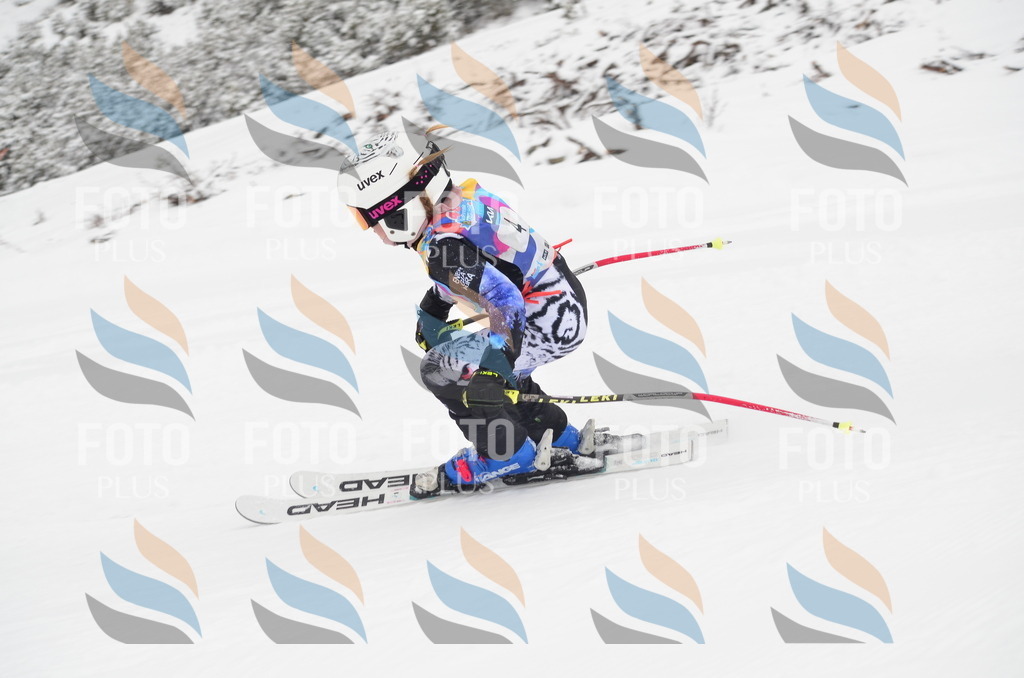 C0545 | holidayphoto