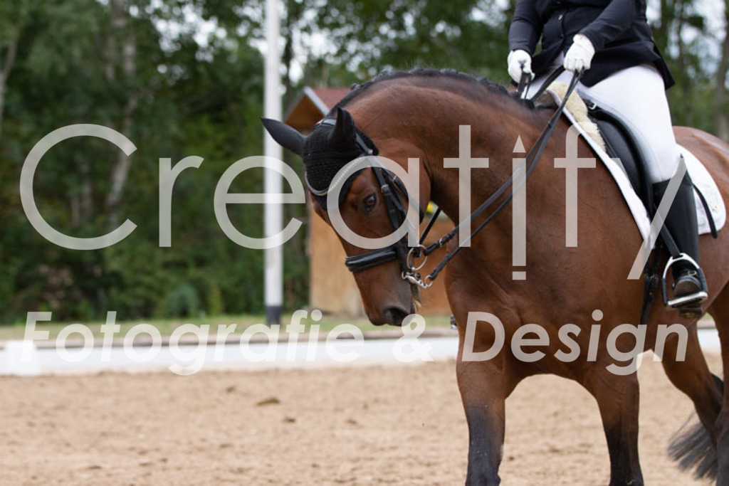 IMG_7511 | Creatify Fotografie