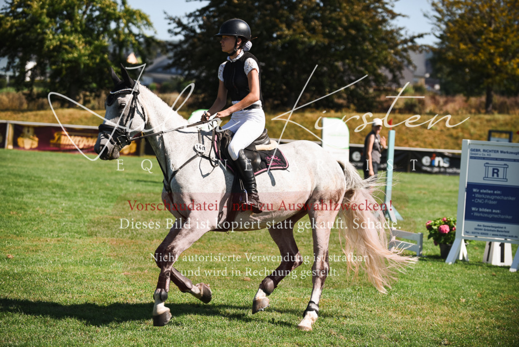 DSC_2903 | Pferde- und Turnierfotografie in Westsachsen. Pferdeportraits, Auftragszeichnungen und intuitive Kunst.