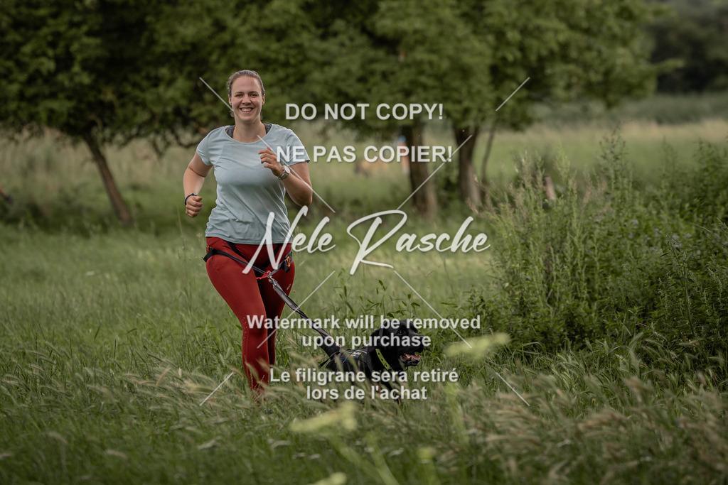 nelerasche_DoN_122 | nelerasche