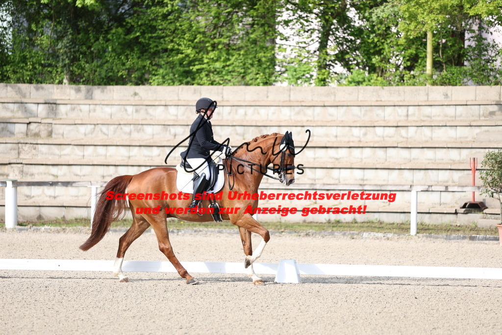 A40A3326 | lmwpictures - Realisiert mit Pictrs.com