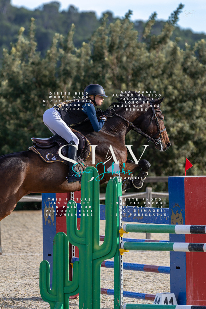 IMG_0340 | s-jay-photography - Realisiert mit Pictrs.com