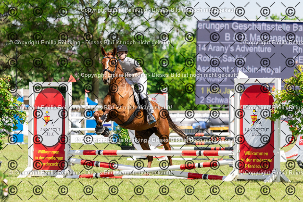 CL5A0047 | Emilia Reinking Fotografie - Realisiert mit Pictrs.com