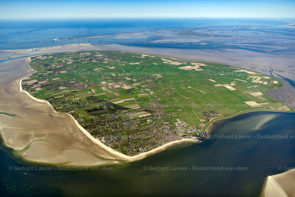 3801703 | Föhr, Nationalpark Schleswig-Holsteinisches Wattenmeer