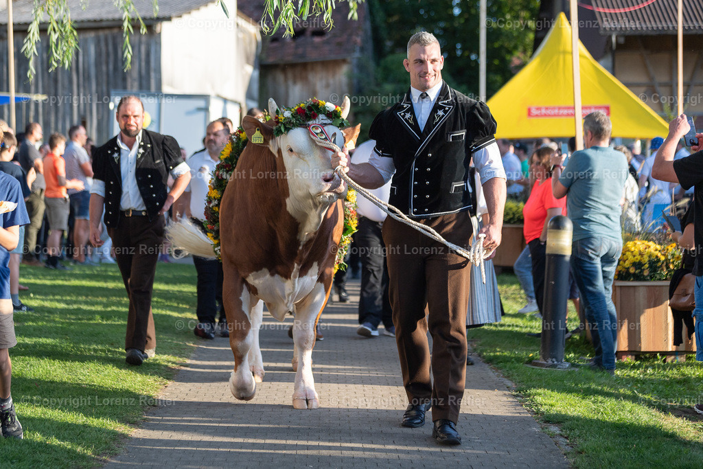 Schwingen -  Unspunnen Empfang 2023 | Wigoltingen, 2.9.23, Schwingen - Unspunnen Empfang.