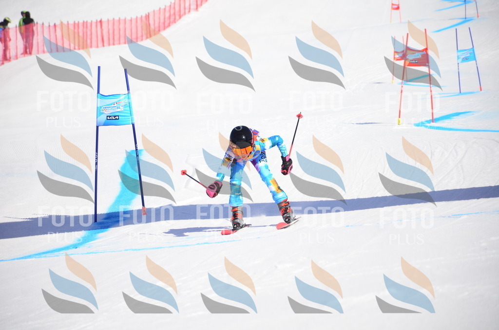 VR4_9095 | holidayphoto