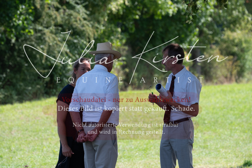 DSC_0610 | Pferde- und Turnierfotografie in Westsachsen. Pferdeportraits, Auftragszeichnungen und intuitive Kunst.