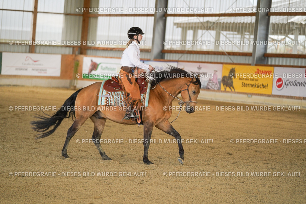 DSC07311 | Pferdegrafie