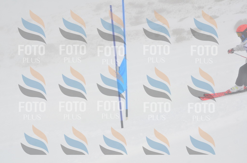 A5392 | holidayphoto