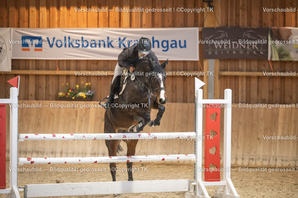 _D5A8803 | Emotionale Pferde- & People-Fotografie rund um Heidelberg, Leimen & Umgebung. Natürliche Fotos von Pferd, Mensch & Familie. Jetzt Termin sichern!