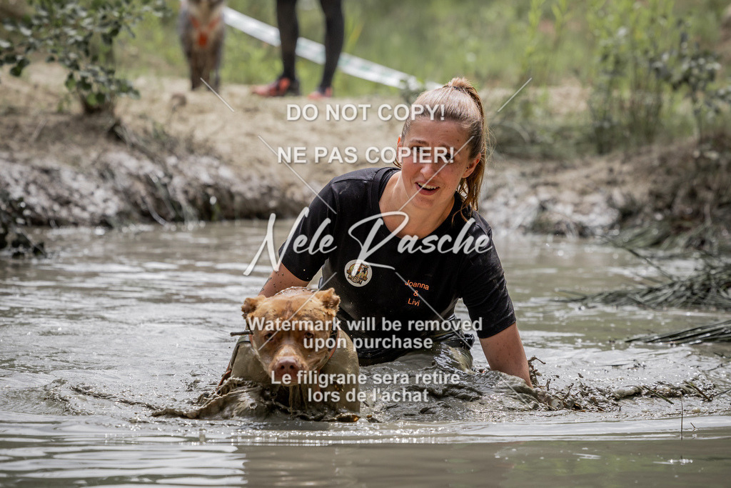 nelerasche_so1300-1330_410 | nelerasche