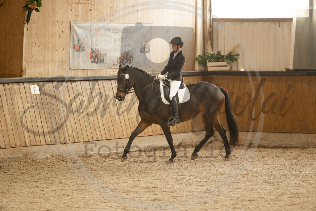 994A3833 | sabrinanicolaifotografie - Realisiert mit Pictrs.com