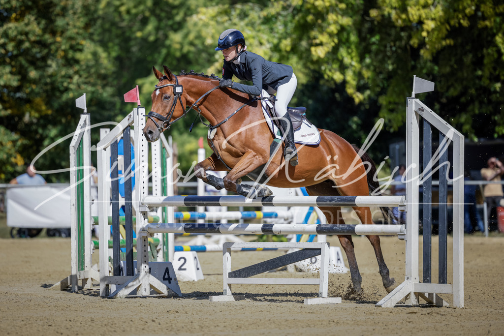 20250906-_3LI3706 | Tierfotografie Pferde, Hunde, Katzen, Haustiere.
Turnierfotografie Reitturniere, Reiten, Springreiten, Dressur in Hanau, dem Main-Kinzig-Kreis und dem Rhein-Main- Gebiet um Frankfurt
