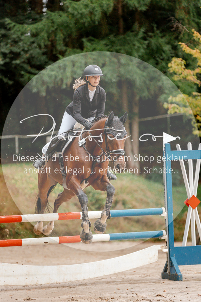 3I6A5631 | Stimmungsvolle Portraits und Reitsportfotografie im Ruhrgebiet und im Münsterland.

Pferdefotografie, Hundefotografie, Tierfotografie, Reportagen, Portraits von Tier und Mensch, Turnierfotografie in Bochum, Recklinghausen, Marl, Haltern am See, Dülmen.. - Realisiert mit Pictrs.com