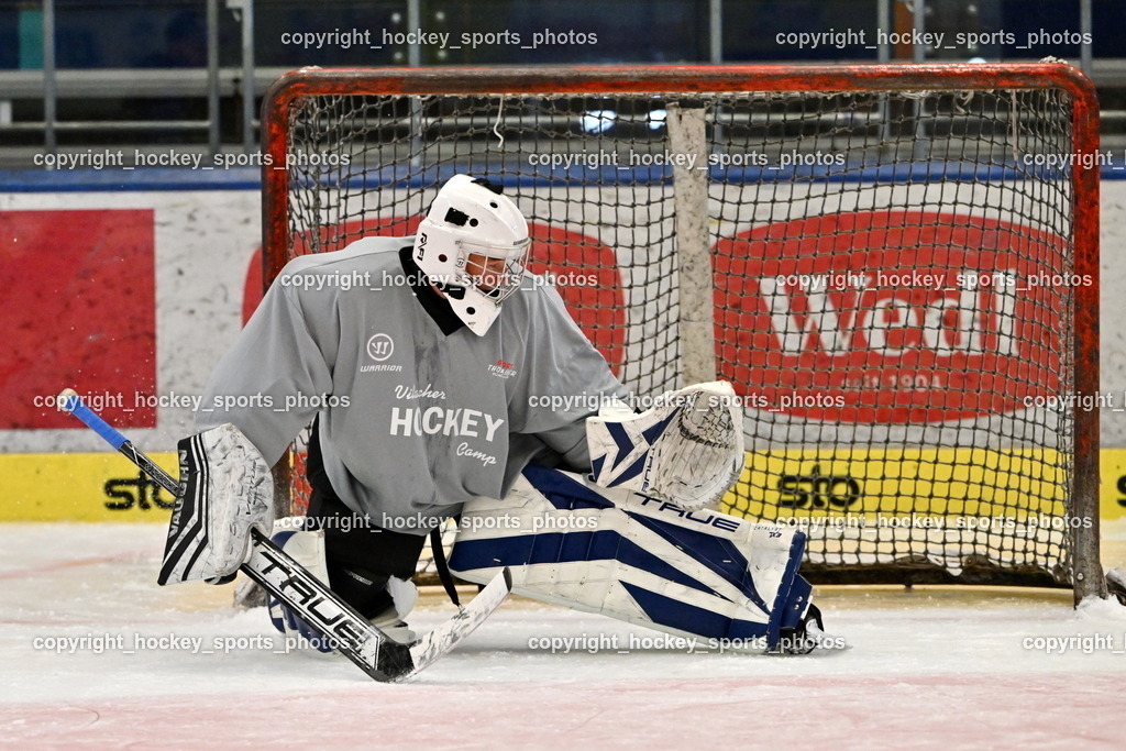 Z9B_3545 | hockey sports photos, Pressefotos, Sportfotos, hockey247, win 2day icehockeyleague, Handball Austria, Floorball Austria, ÖVV, Kärntner Eishockeyverband, KEHV, KFV, Kärntner Fussballverband, Österreichischer Volleyballverband, Alps Hockey League, ÖFB, 