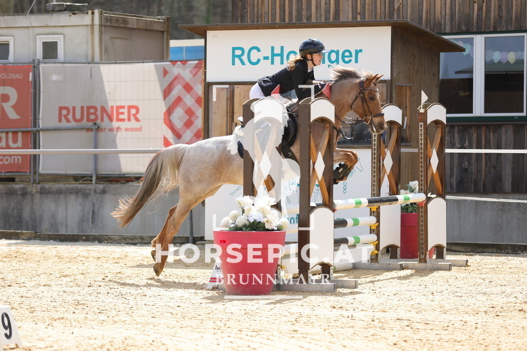 0P6A7754 | Willkommen bei Brunnmayr - Design & Fotografie – Ihrem Spezialisten für Reitturniere und Pferdeveranstaltungen in Oberösterreich, Salzburg und Bayern! Seit über 17 Jahren sind wir leidenschaftlich dabei.