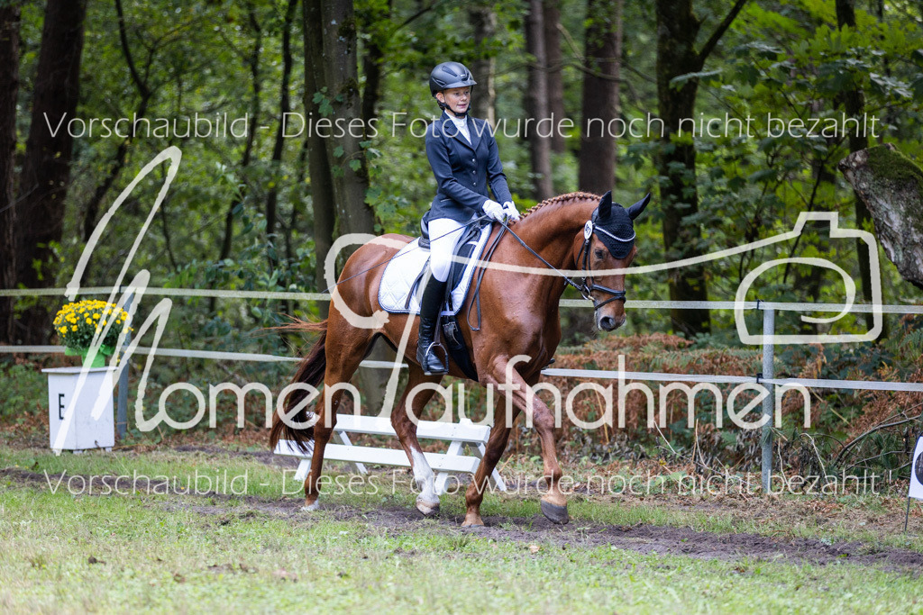 HB-Dressur-WB-060 | MomenTaufnahmen Pferdesportfotos