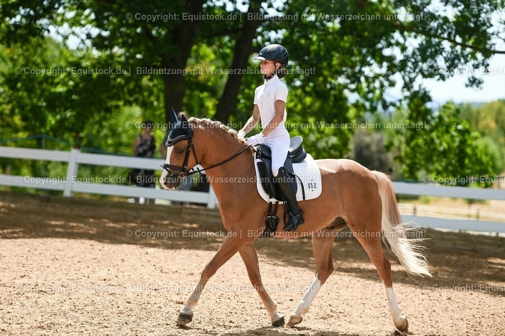 20230715_09_Dressur-WB_0251 | equistock