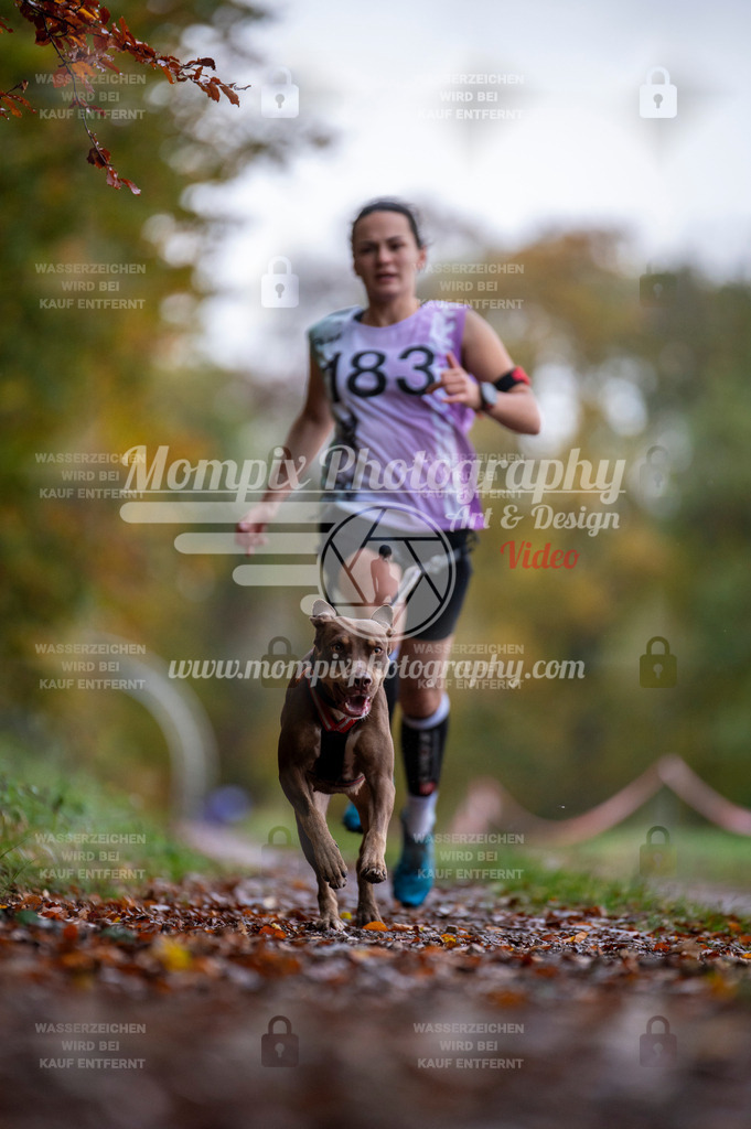 DBT_DAKM_SA_4_11_2023_Canicross-23 | PayLife