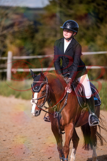 2026_10_03_Siefer-Hof_155833_Z81_78841950 | Professionelle Reitsport-, Turnier- und Eventfotografie von Robert Broda. Galerien mit ausgewählten und bearbeiteten Bildern direkt online ansehen und bestellen.