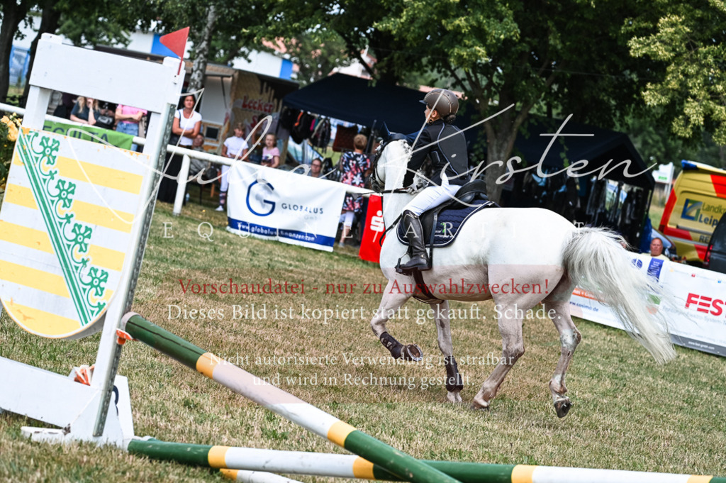 DSC_9633 | Pferde- und Turnierfotografie in Westsachsen. Pferdeportraits, Auftragszeichnungen und intuitive Kunst.