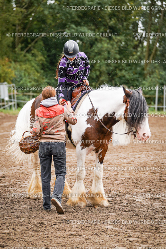 DSC05346 | Pferdegrafie