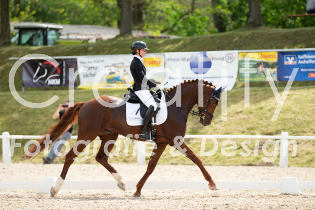 IMG_2532 | Creatify Fotografie