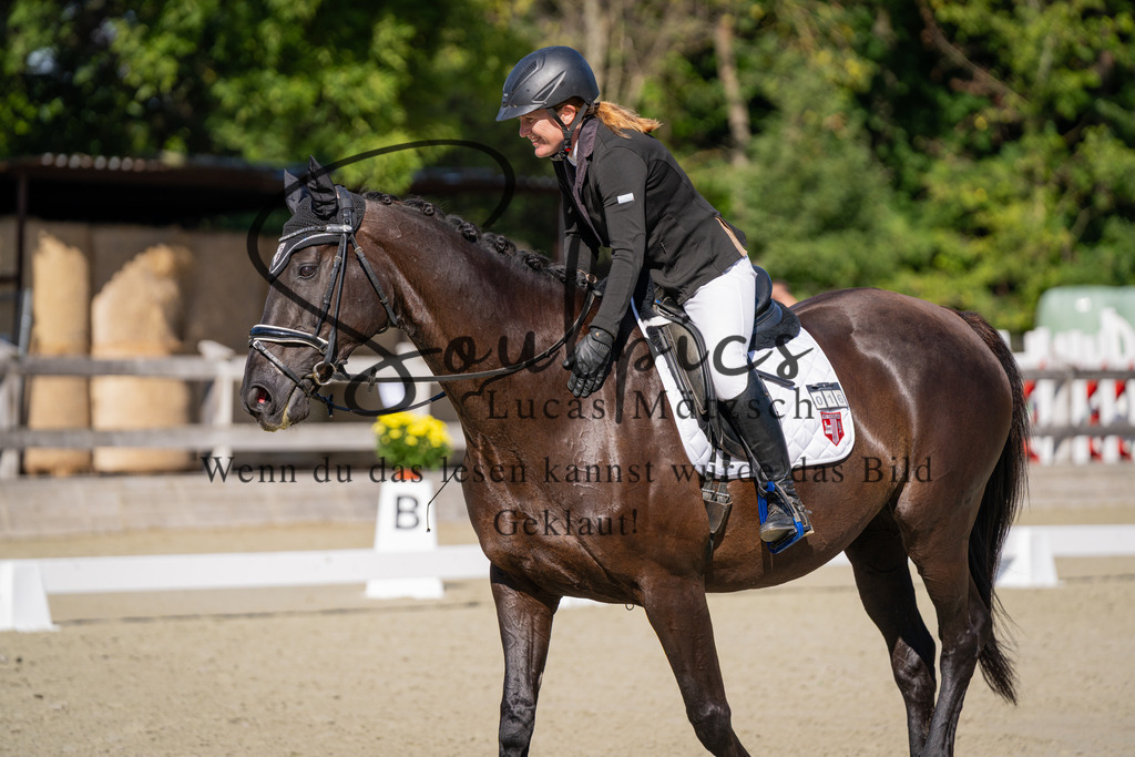 A7V07004 | Pferdefotograf