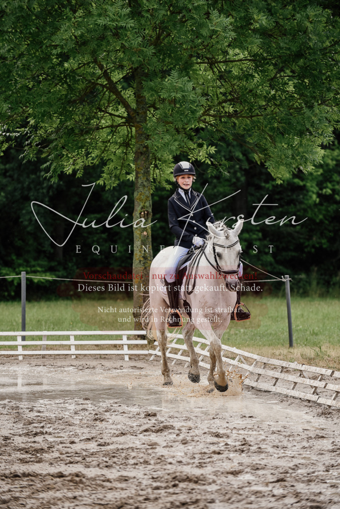 DSC_9420 | Pferde- und Turnierfotografie in Westsachsen. Pferdeportraits, Auftragszeichnungen und intuitive Kunst.