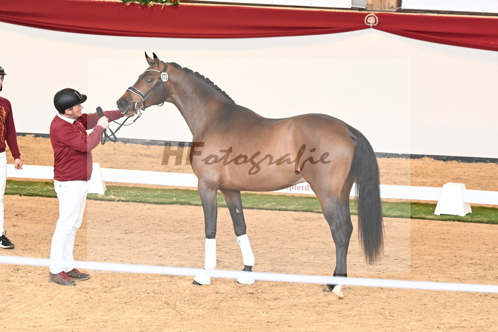 Kat.-Nr. 73 v. Va Bene_Kuntz_2240970 | hf-fotografie - Realisiert mit Pictrs.com