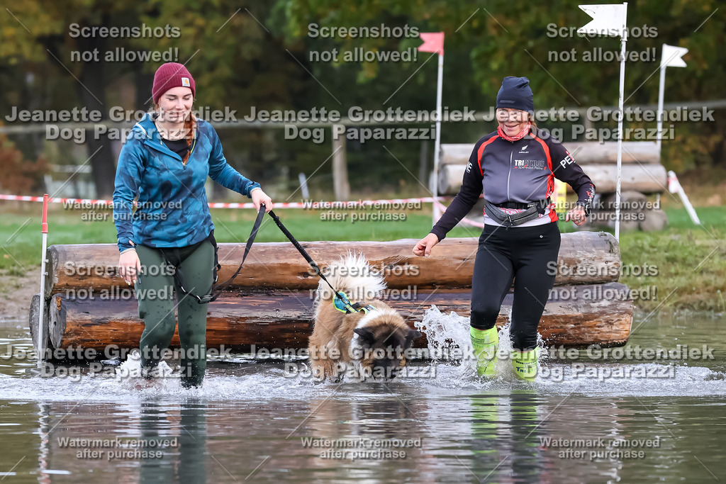 Dog Paparazzi - Strongdog 10-25-6506 | Dog Paparazzi Jeanette Grottendiek Fotografie & Videografie - Realisiert mit Pictrs.com