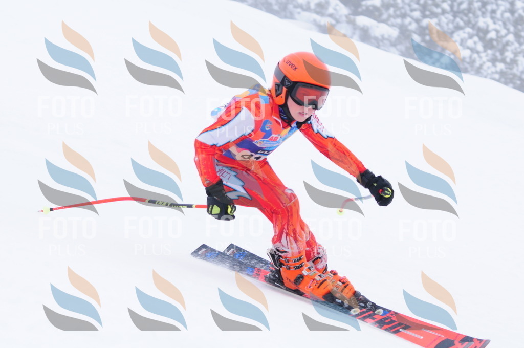 C4391 | holidayphoto