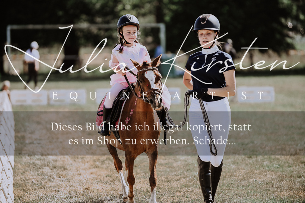 DSC_9014 | Pferde- und Turnierfotografie in Westsachsen. Pferdeportraits, Auftragszeichnungen und intuitive Kunst.