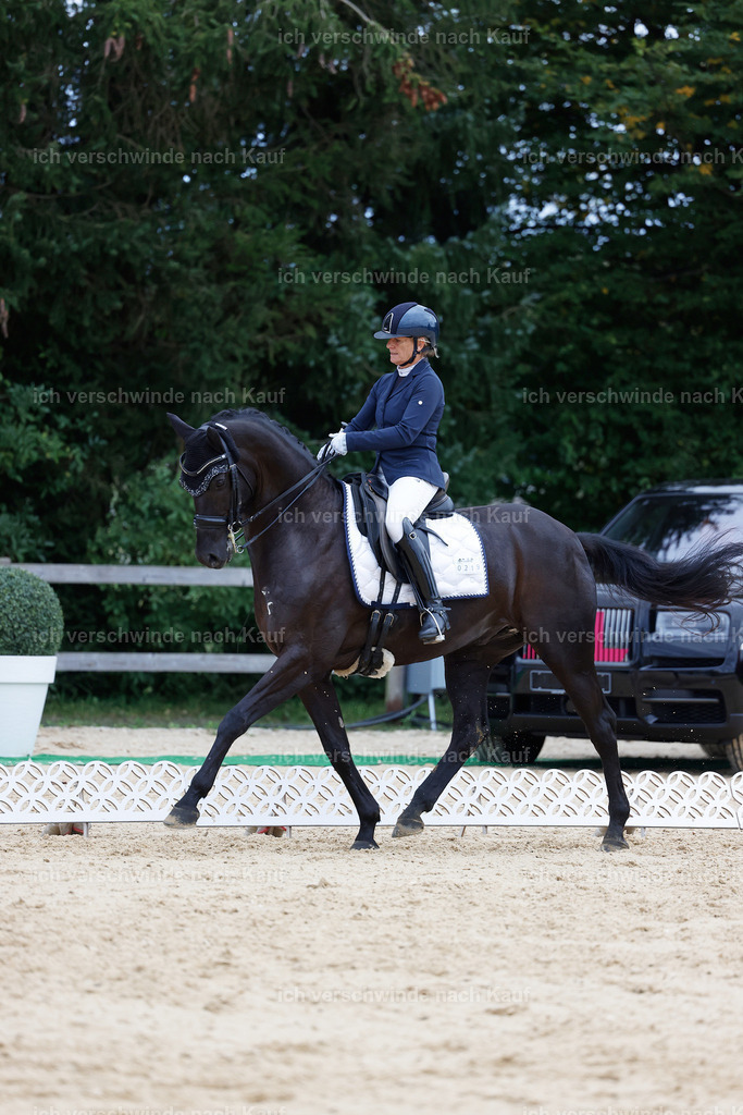 04_2-219-Dressur M__ -StoibPH-2952 | working equitationturnier fotograf videograf stoibphotography marixx film working equitation deutschland reitsport turnierfotografie eventfotografie equestrian events