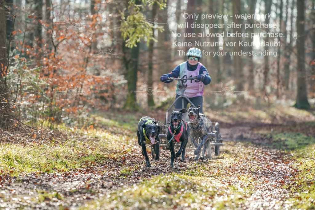 So2_Gespanne-8 | stephaniefillaphotographie - Realisiert mit Pictrs.com