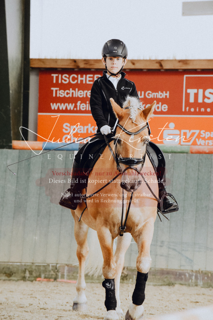 DSC_7325 | Pferde- und Turnierfotografie in Westsachsen. Pferdeportraits, Auftragszeichnungen und intuitive Kunst.