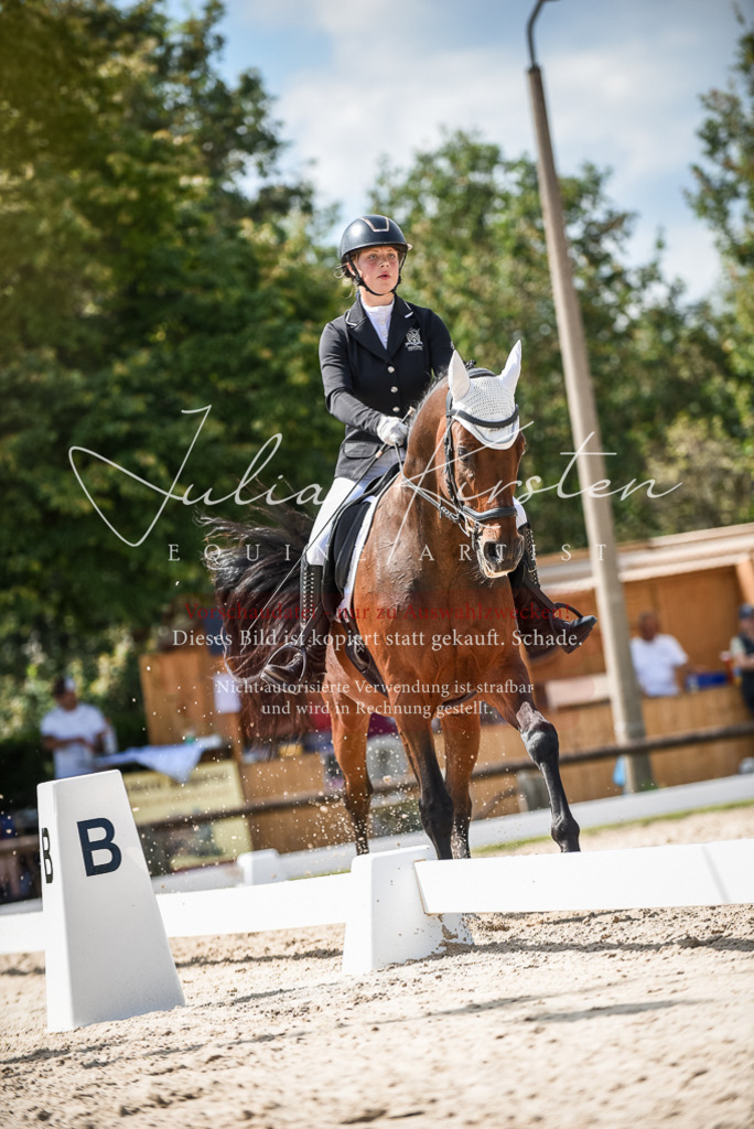 DSC_9306 | Pferde- und Turnierfotografie in Westsachsen. Pferdeportraits, Auftragszeichnungen und intuitive Kunst.
