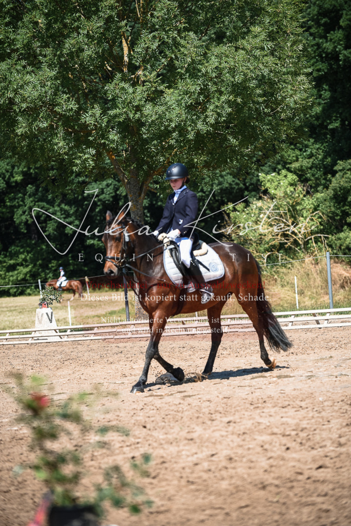 DSC_3335 | Pferde- und Turnierfotografie in Westsachsen. Pferdeportraits, Auftragszeichnungen und intuitive Kunst.