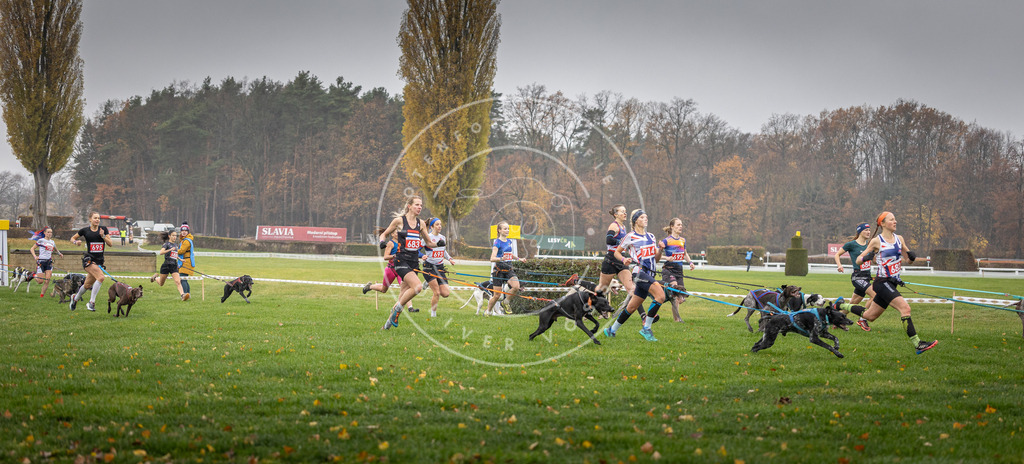 CaniXpix_DV3A8742 | Hundefotografie, Tierfotograf, Pfotenfotografie, Fotoshooting Hund, Hunde Portrait, Hundesport, Hundeportraits, Heideshooting, Hunde, Sportfotograf, Hundefotograf, Turnierhundsport, THS,  - Realisiert mit Pictrs.com