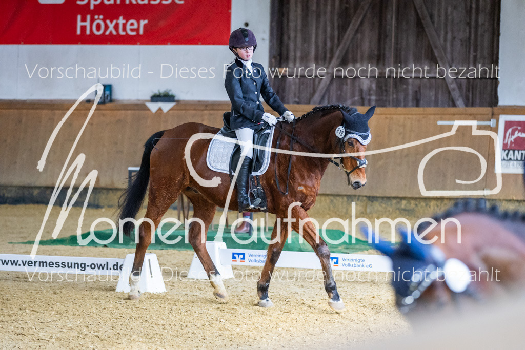 Sth-WBO25-EDr-088 | MomenTaufnahmen Pferdesportfotos