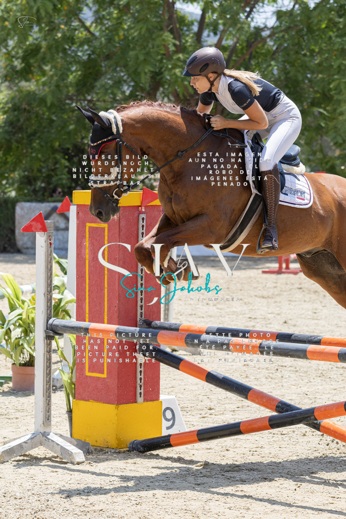 IMG_1885 | s-jay-photography - Realisiert mit Pictrs.com