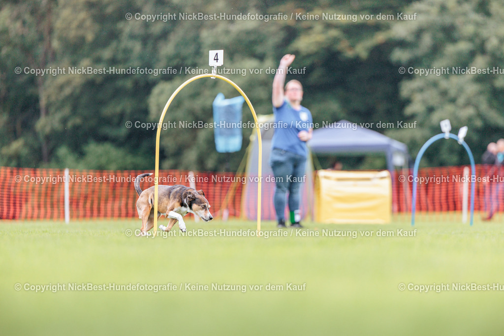 BSP Hoopers-H2-2026-Nickbest-Hundefotografie-TuS Komet Arsten e.V.-4884 | Dein Hund! Dein Moment! Deine Erinnerungen! Hundefotografie in Bremen Blumenthal. Ich fange die besonderen Momente deines Vierbeiners ein – ob Indoor mit Blitzanlage oder in der freien Natur. Sicher dir dein Moment und dein Termin für eure Erinnerungen.