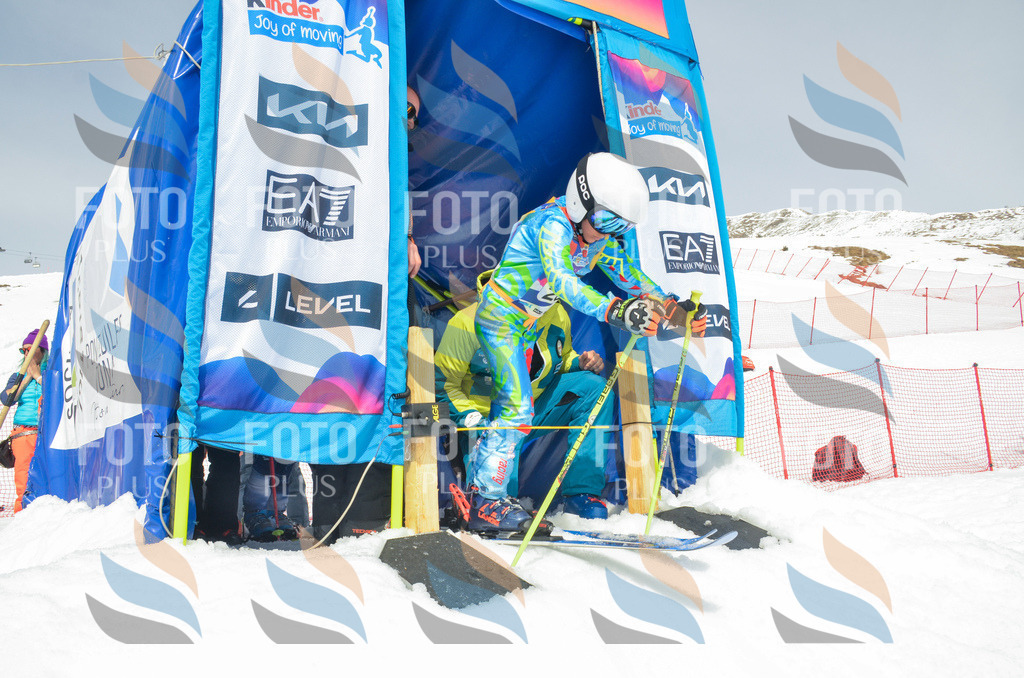 _ELE7949 | holidayphoto