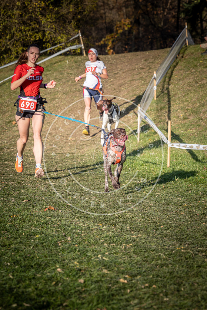 CaniXpix_0L8A9485 | Hundefotografie, Tierfotograf, Pfotenfotografie, Fotoshooting Hund, Hunde Portrait, Hundesport, Hundeportraits, Heideshooting, Hunde, Sportfotograf, Hundefotograf, Turnierhundsport, THS,  - Realisiert mit Pictrs.com