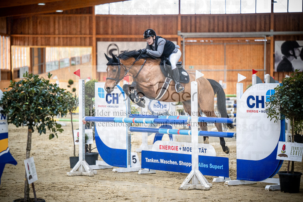DOS_0788 | Entdecke hochwertige Reitturnierfotos von Foto Oger. Professionell, emotional und authentisch – jetzt Lieblingsmomente im Shop bestellen.Deutschlandweite Turnierfotografie. - Realisiert mit Pictrs.com