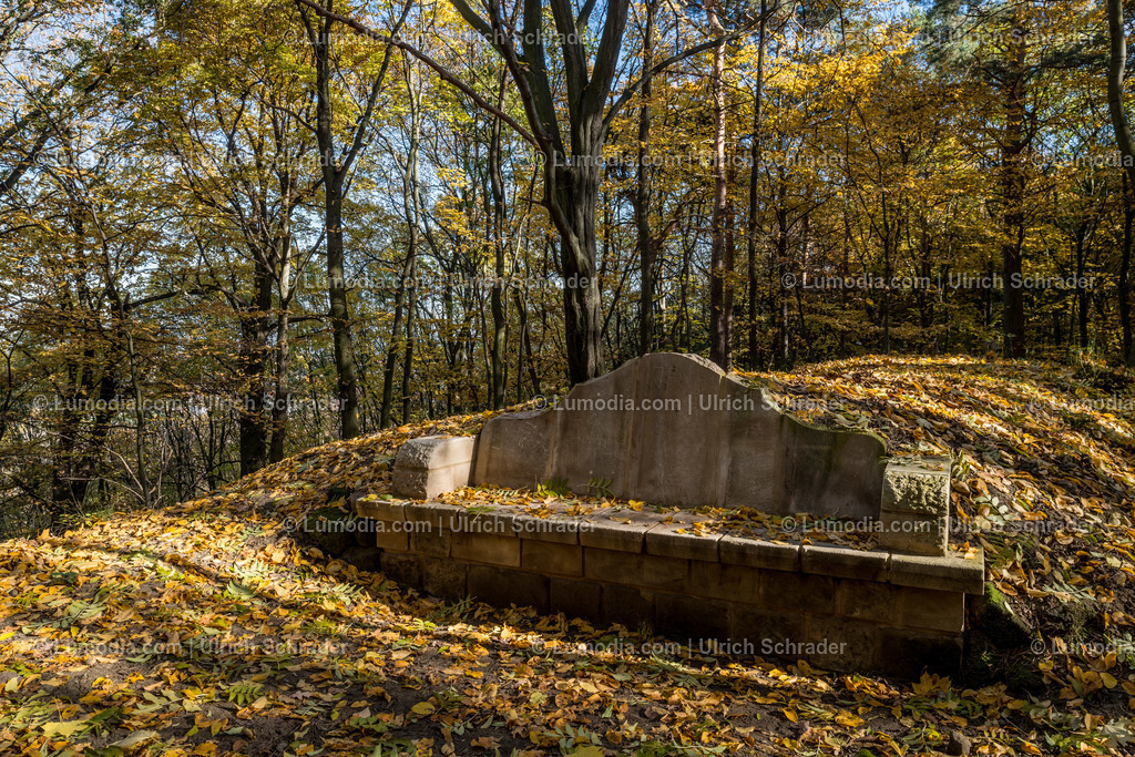 10049-4654 - Landschaftspark Spiegelsberge | Stockfoto und Bilderpool mit Bildmaterial aus Deutschland, dem Harz, Halberstadt, Quedlinburg, Wernigerode und weltweit. Qualitativ hochwertige und professionelle Fotos anschauen und kaufen. - Realisiert mit Pictrs.com
