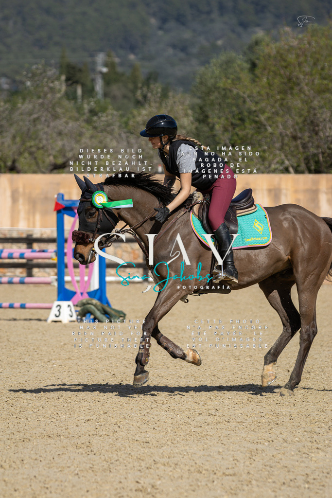 IMG_6588 | s-jay-photography - Realisiert mit Pictrs.com