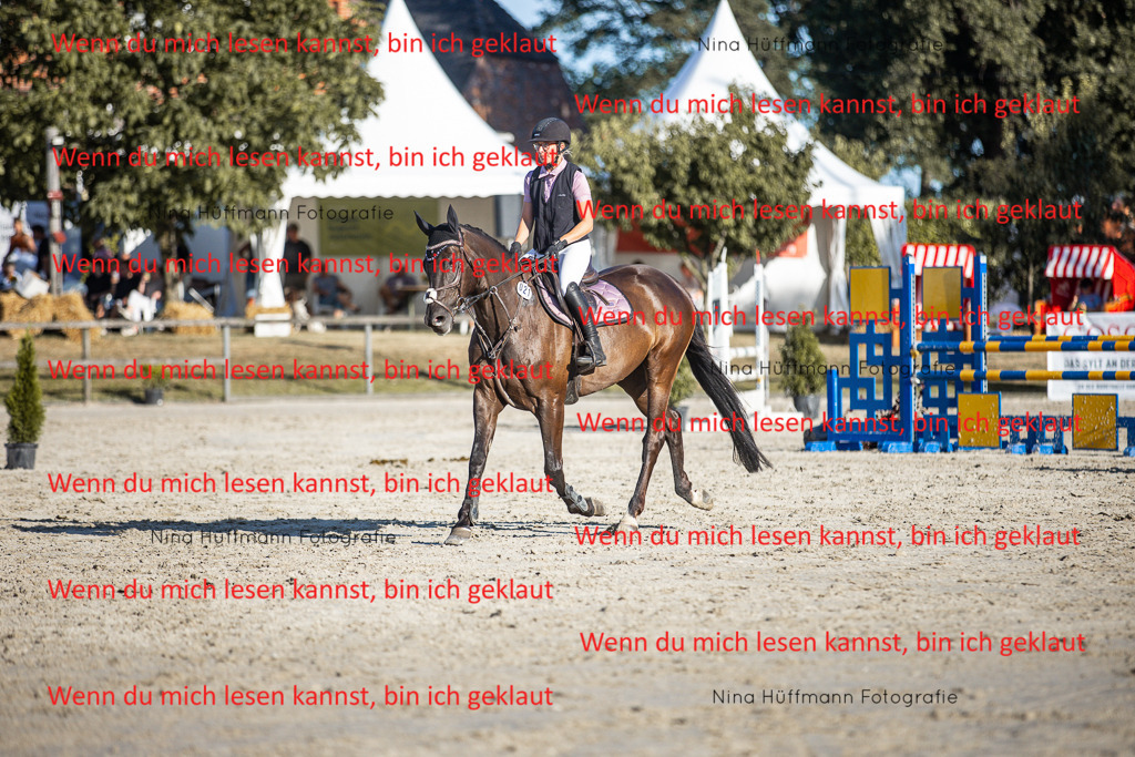 BK1A7732 | Turnierbilder Turnierfotos Nina Hüffmann Turnierfotografie Pferdefotografie Tierzeichnung Haustierzeichnung Pferdezeichnung Hundezeichnung Videograf  - Realisiert mit Pictrs.com
