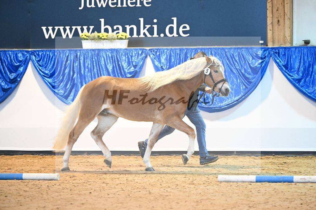 Kat-Nr. 5 Neumond v. Neugold_Reibnegger_60220650 | hf-fotografie - Realisiert mit Pictrs.com